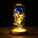 Cúpula de Rosas com Led - Beautiful Love