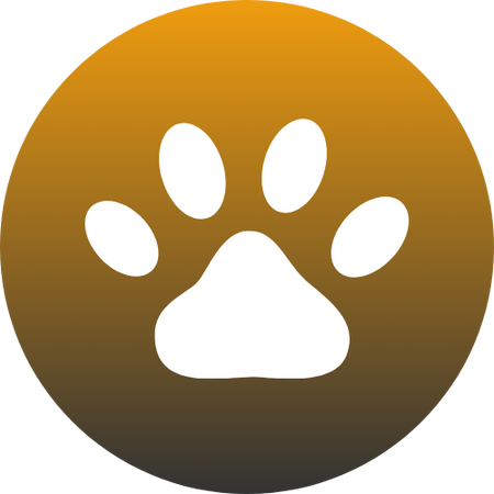 Pets